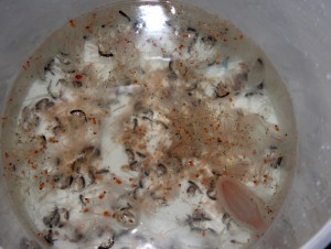 Fig. 1 Zooplankton soup