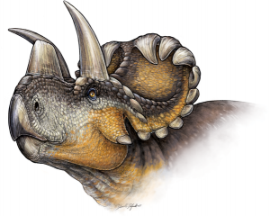 wendiceratops