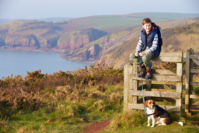 A dog and its owner out for a walk in the English countryside. Photo: Monkey Business Images / Shutterstock 