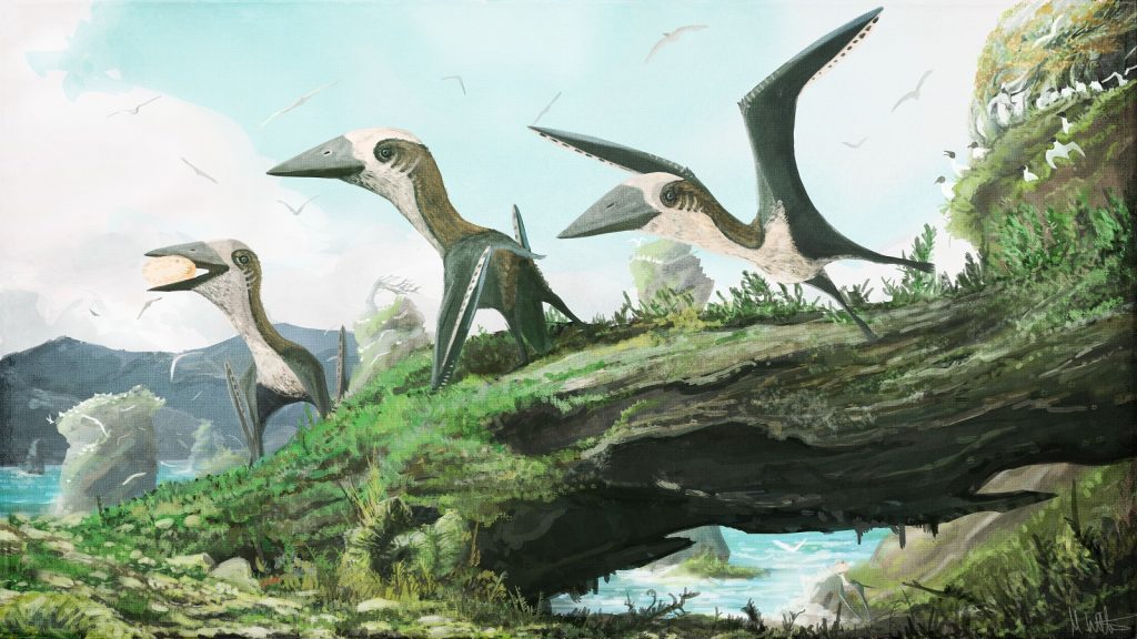 Life and environmental reconstruction of the Hornby Island pterosaur. Image by Mark Witton, used with permission.