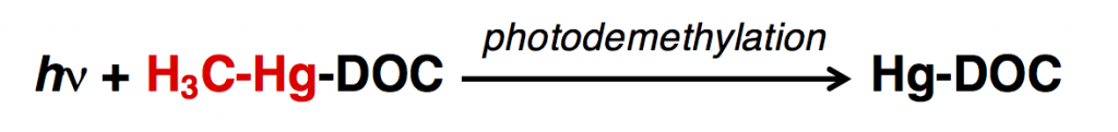 Photodemethylation chemical equation