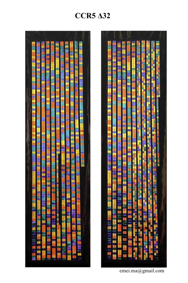 DNA sequence by Emei Ma