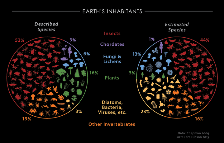 Earth's relative biodiversity. By Cara Gibson, Illustrator. Top 10, National Science Foundation’s Visualization Challenge - The Vizzies