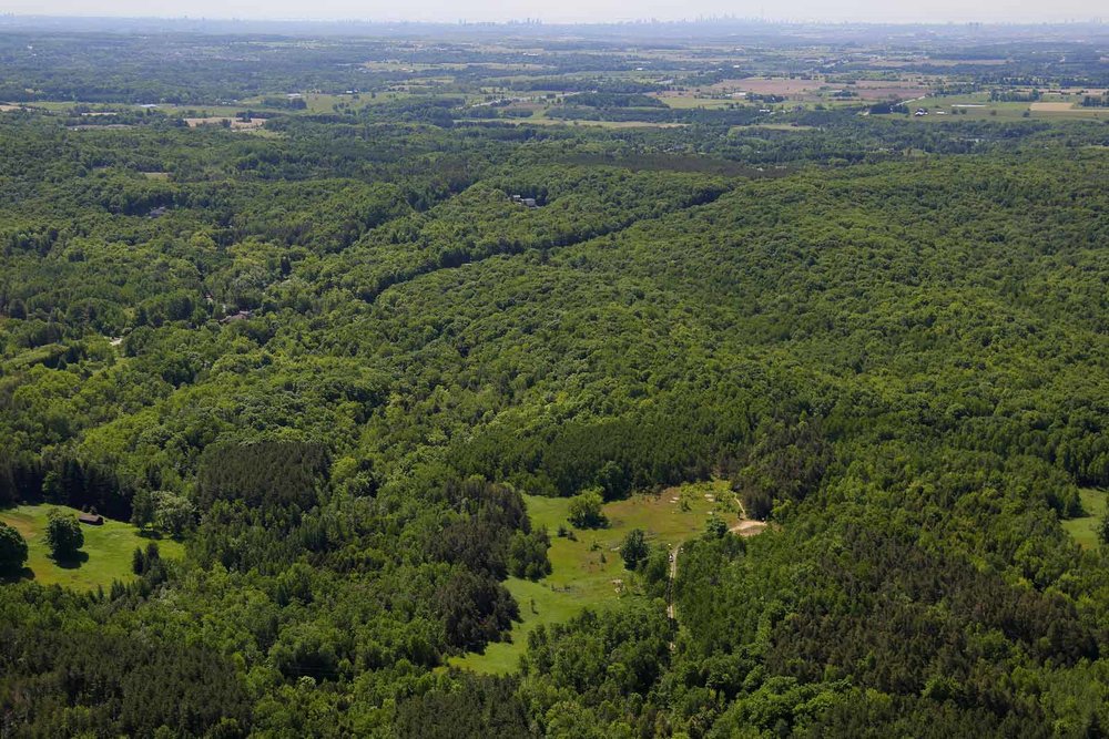 Happy Valley Forest, photo from the air