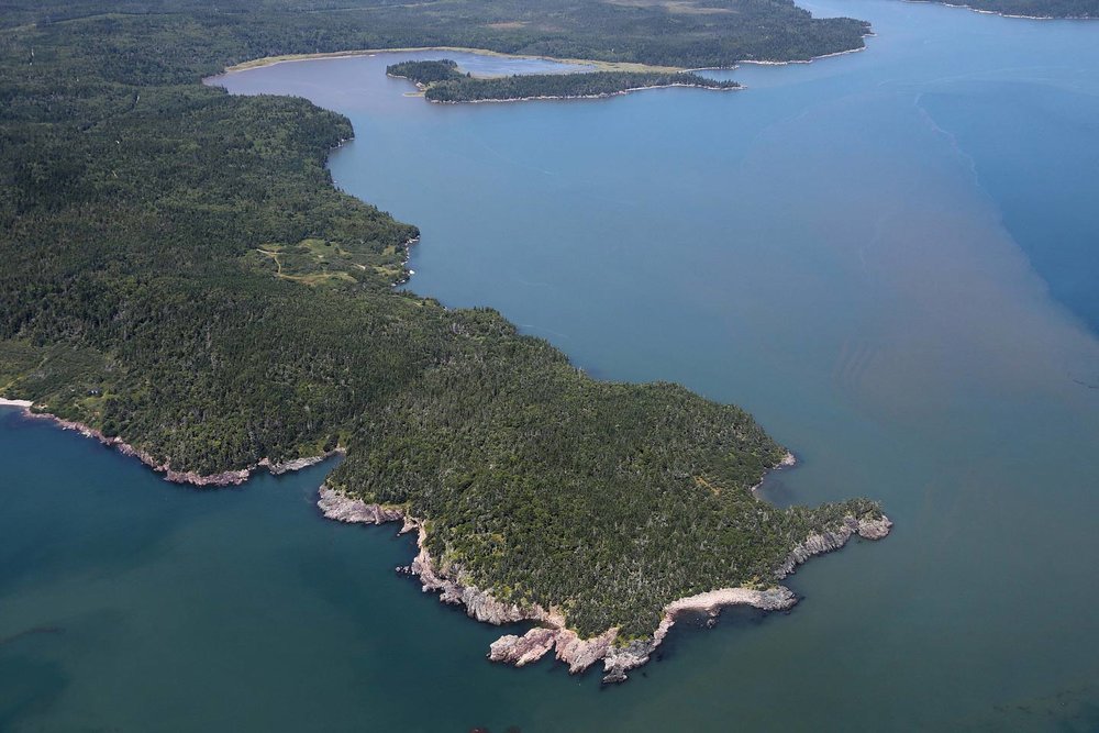 aerial image of musquash estuary
