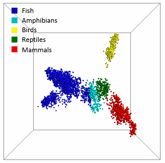 map-vertebrate-life