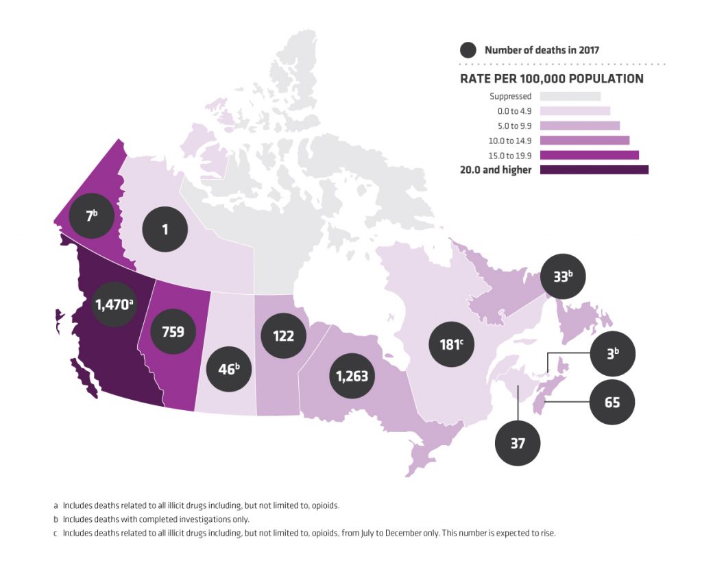 Drug treatment and policy: Lessons from abroad – ScienceBorealis.ca Blog