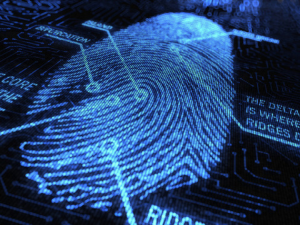 To Fingerprint Or Not To Fingerprint? That Is The Question 