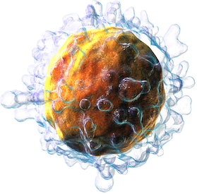 3-D illustration of T-cell by Blausen Medical, licensed under CC BY 3.0.