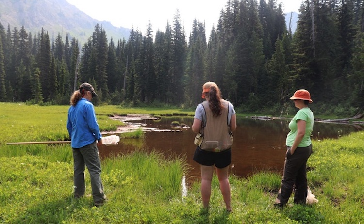 hoto by Mount Rainier National Park, NPS, CC BY 2.0