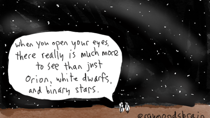 when-you-open-your-eyes-there-really-is-much-more-to-see-than-just-orion-white-dwarfs-and-binary-stars