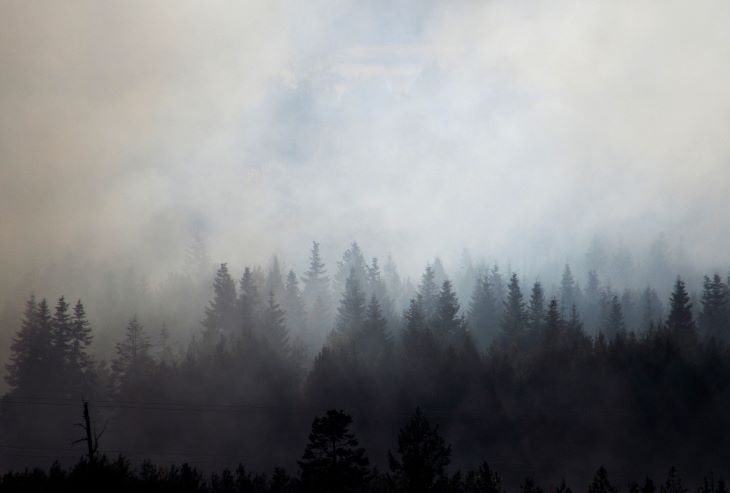 How Does Wildfire Smoke Affect Our Health Scienceborealisca Blog 3107